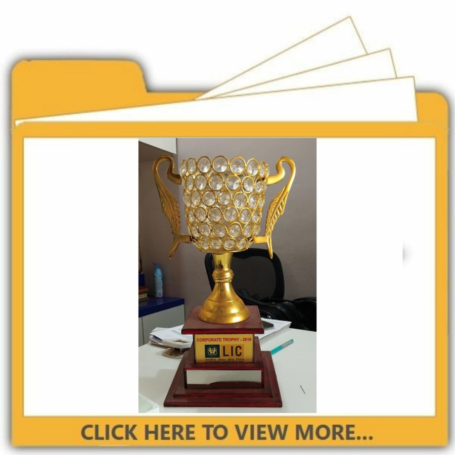 Our Trophies